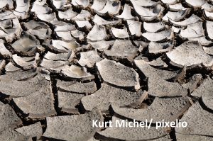 Kurt Michel/ pixelio