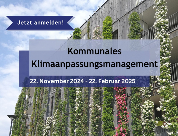 Fortbildung „Kommunales Klimaanpassungsmanagement“: Jetzt anmelden und in Ihrer Kommune Klimaanpassung vorantreiben