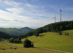 Praktikum bei ifpro