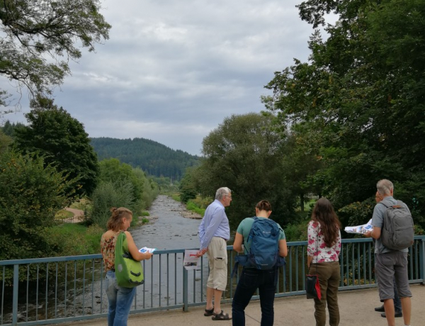 Klimaspaziergang durch Waldsee