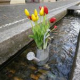 27. April 2023: Jahresveranstaltung der Allianz der öffentlichen Wasserwirtschaft
