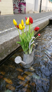27. April 2023: Jahresveranstaltung der Allianz der öffentlichen Wasserwirtschaft