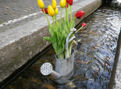 27. April 2023: Jahresveranstaltung der Allianz der öffentlichen Wasserwirtschaft