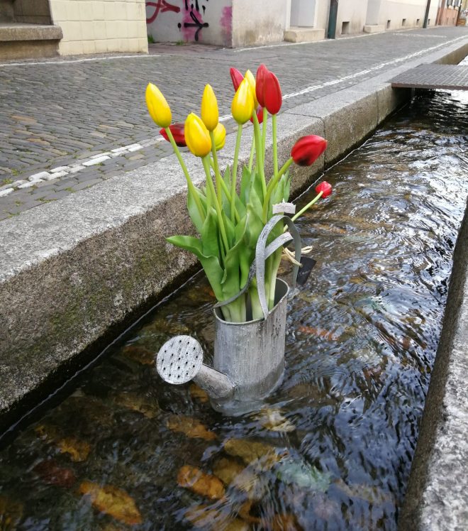 27. April 2023: Jahresveranstaltung der Allianz der öffentlichen Wasserwirtschaft