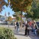 Den Klimafolgen in Freiburg auf der Spur
